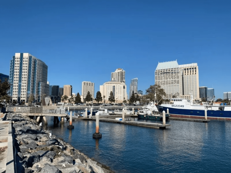 Rip Rap vs. Traditional Seawalls