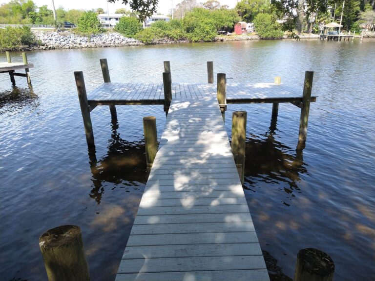 Maintenance Tips for your Dock in Palm Shores