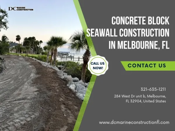 Concrete block seawall construction beside palm trees on a sunny shoreline
